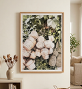 Plant Baskets Print