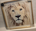 Lion Print