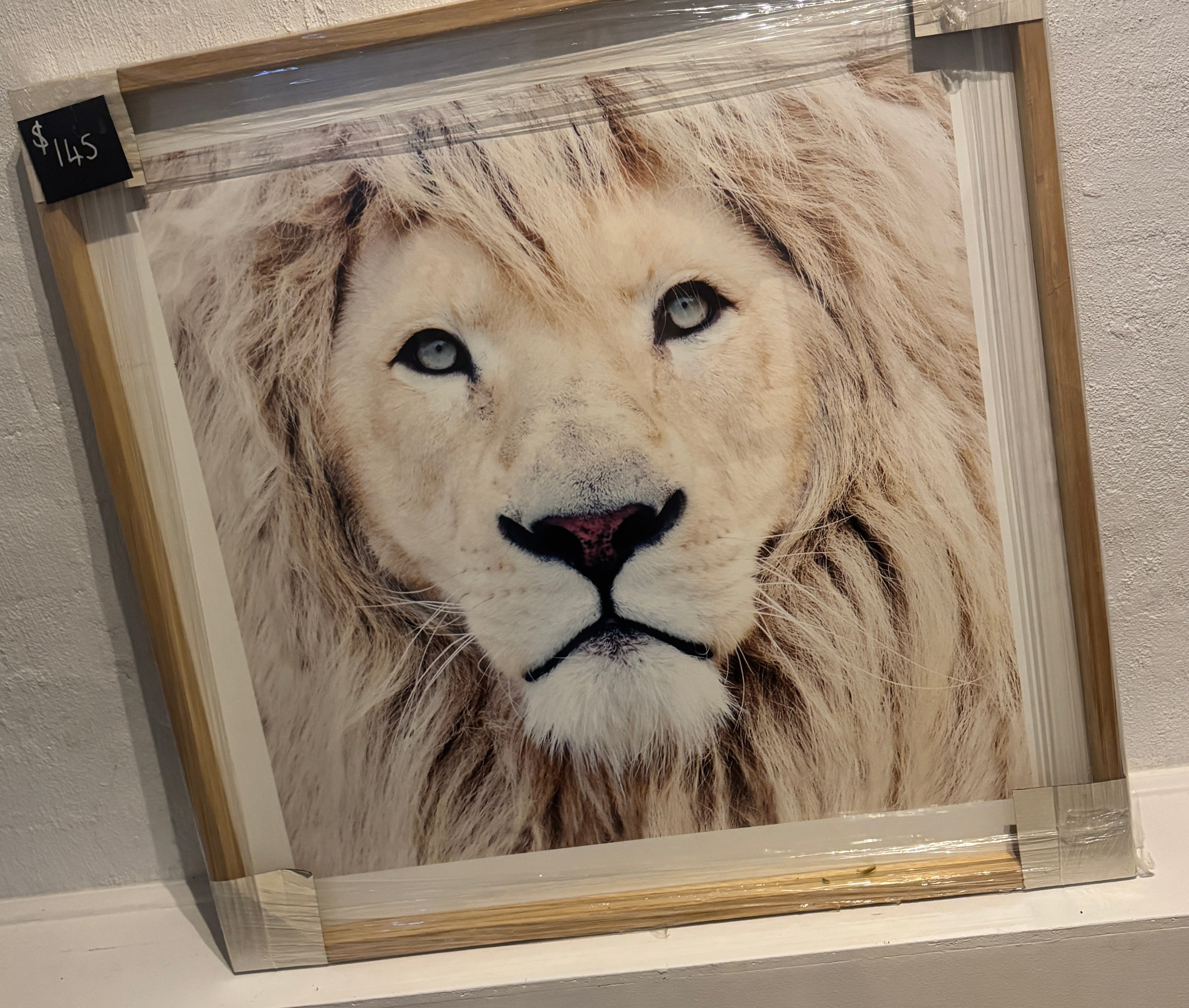 Lion Print