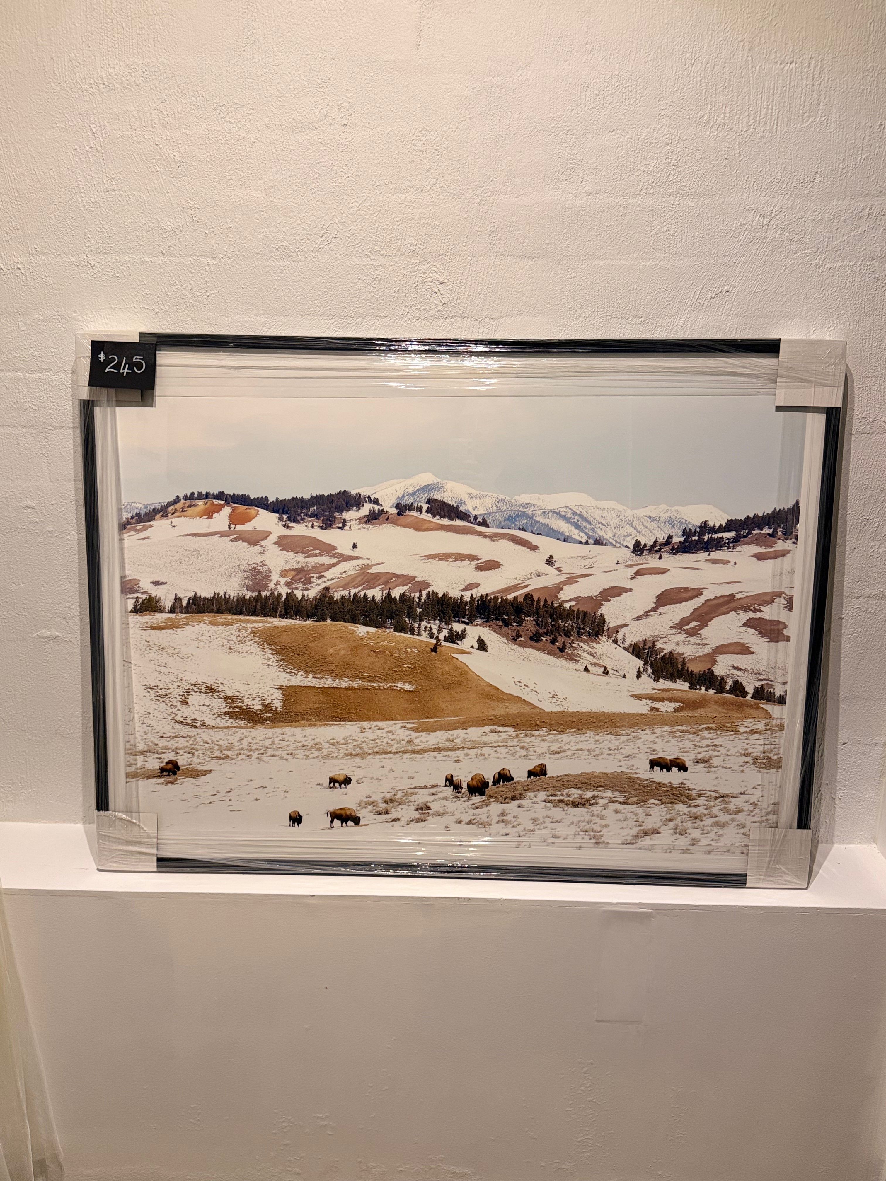 Snowy Mountains Print - Large