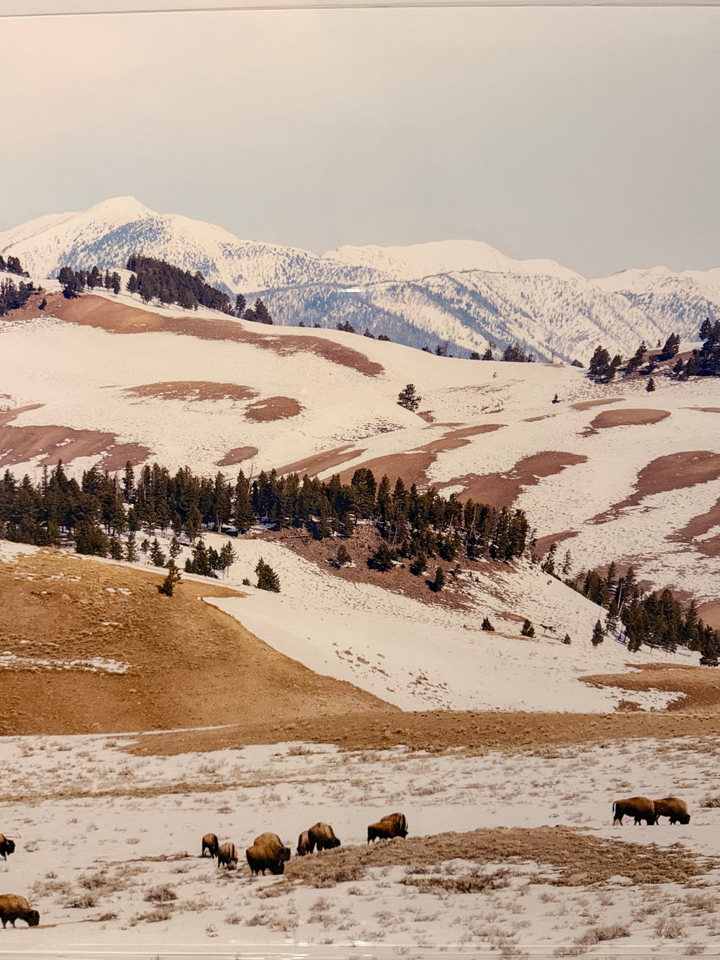 Snowy Mountains Print - Large