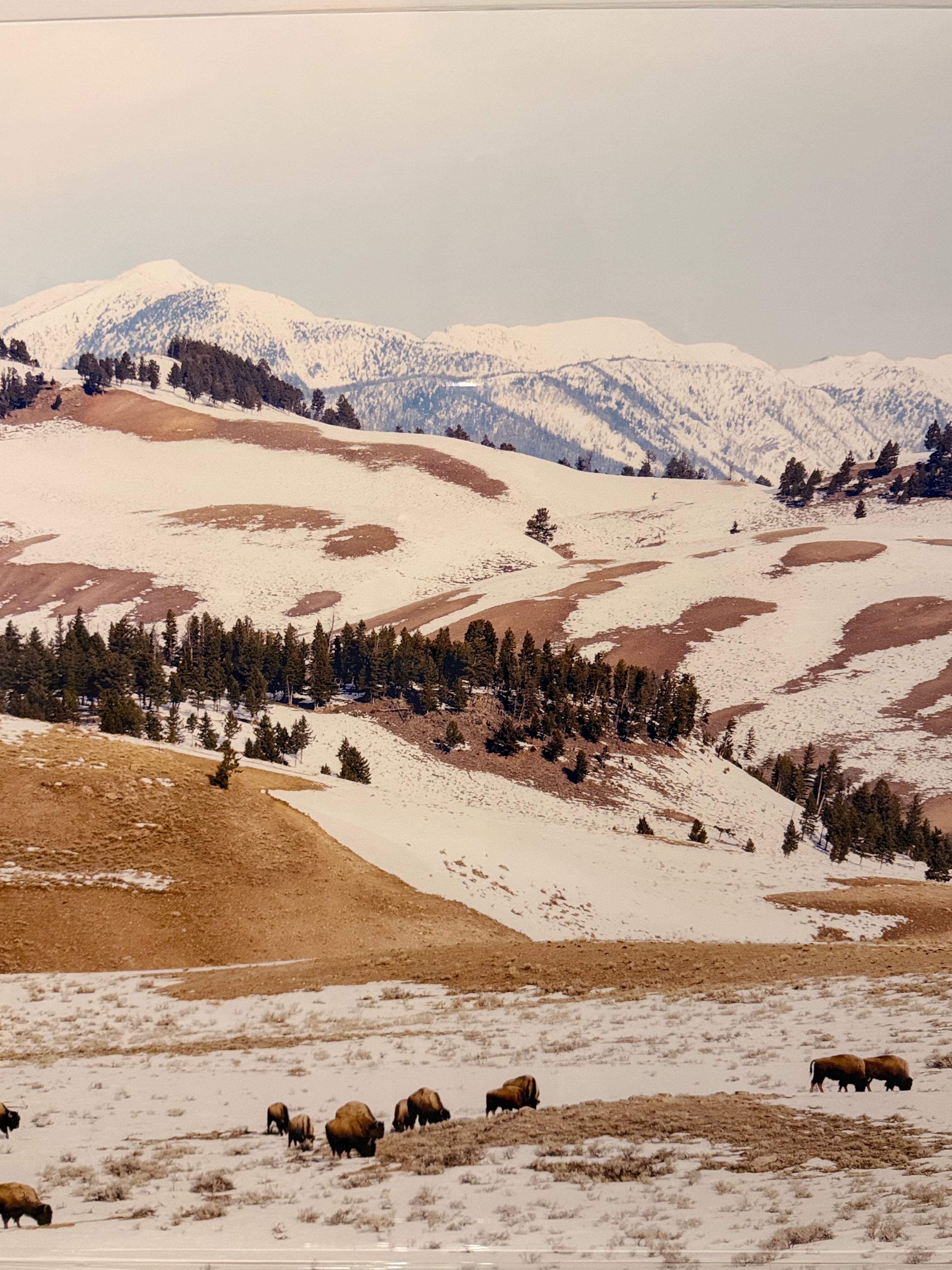 Snowy Mountains Print - Large