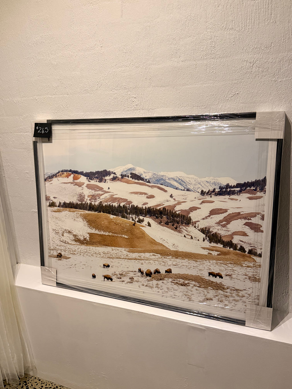 Snowy Mountains Print - Large
