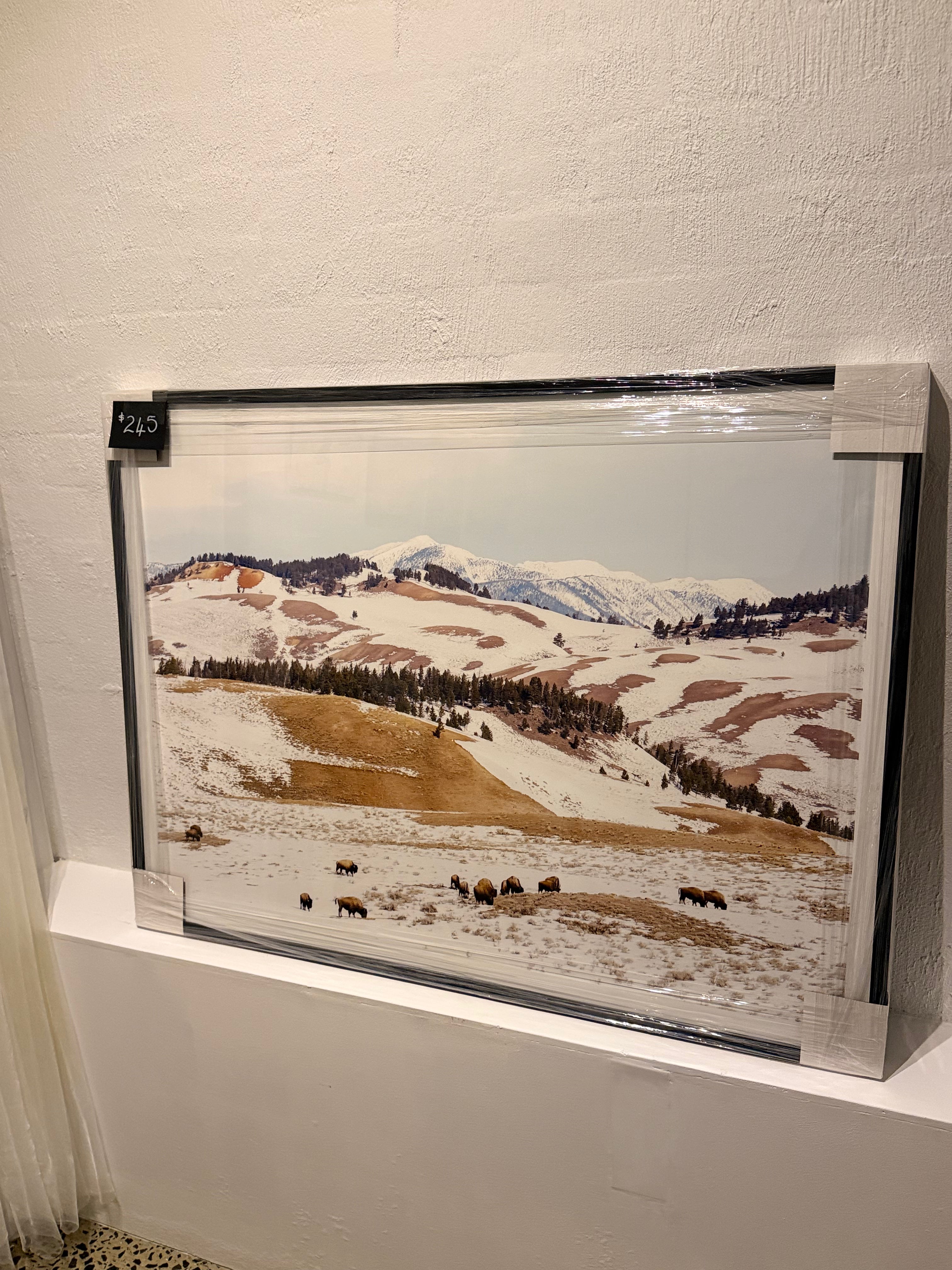 Snowy Mountains Print - Large