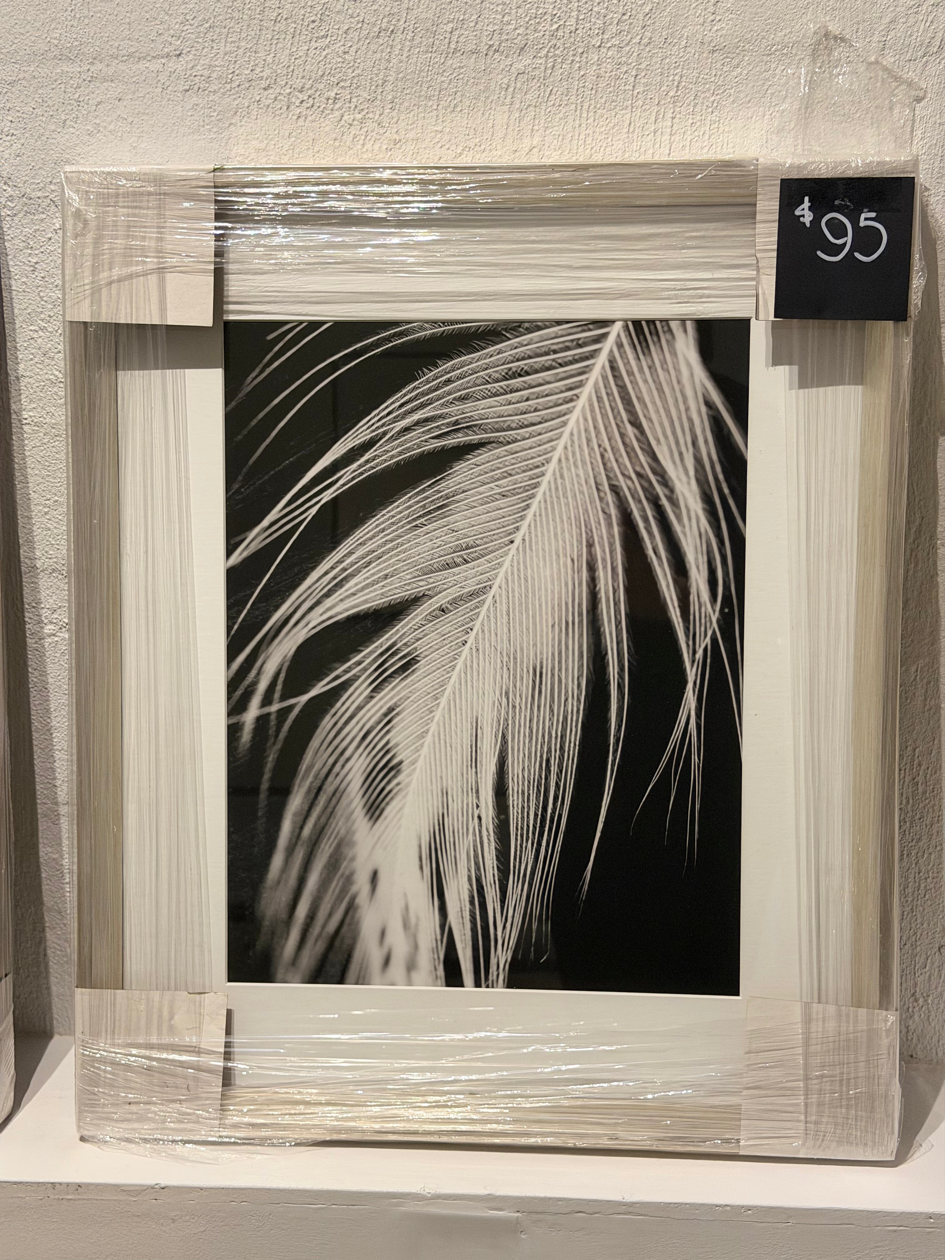 B&W Leaf Pair