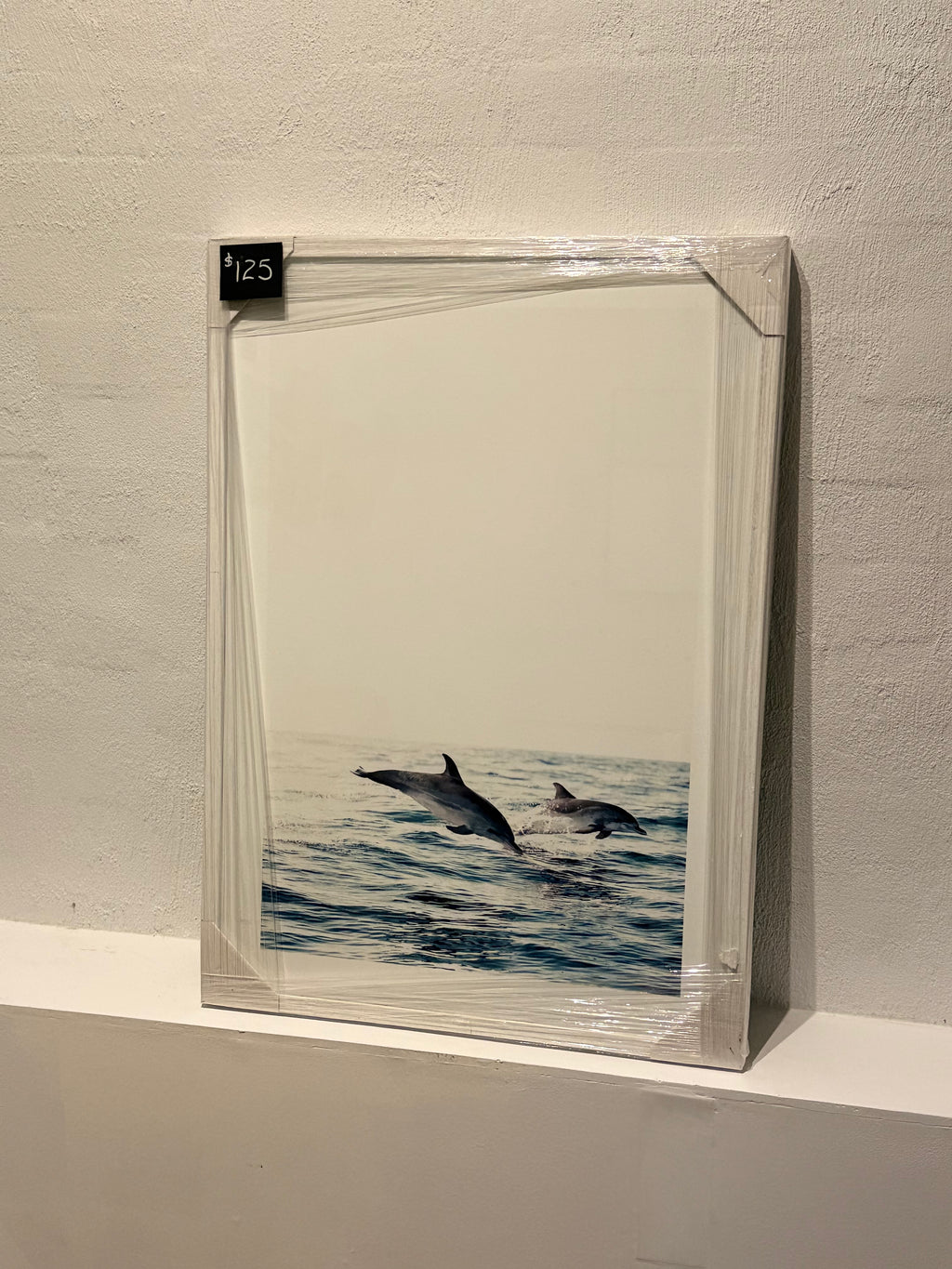 Dolphins
