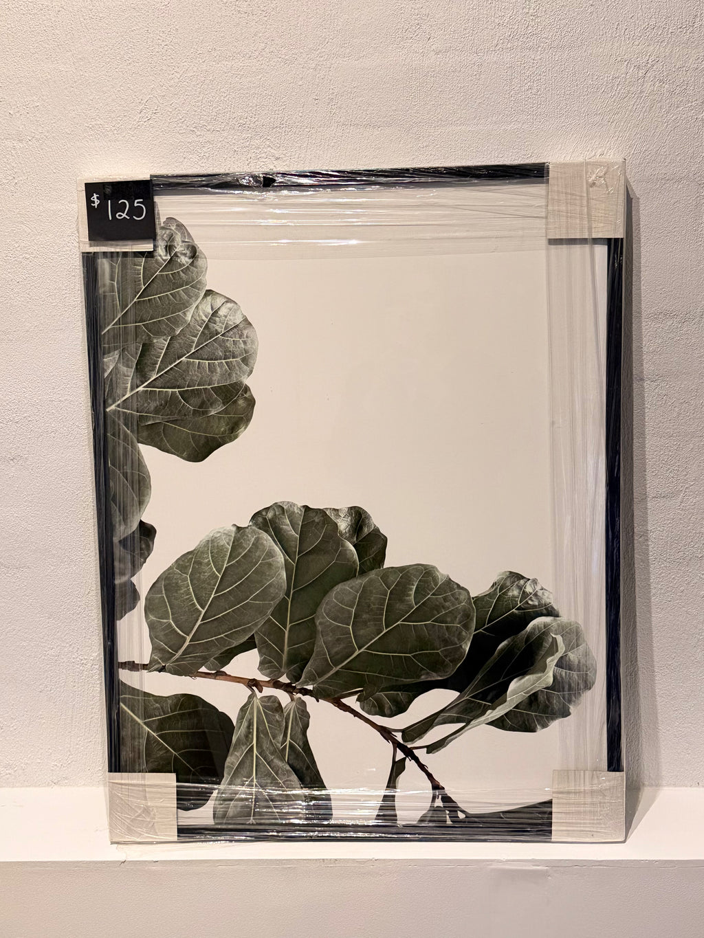 Plant Print