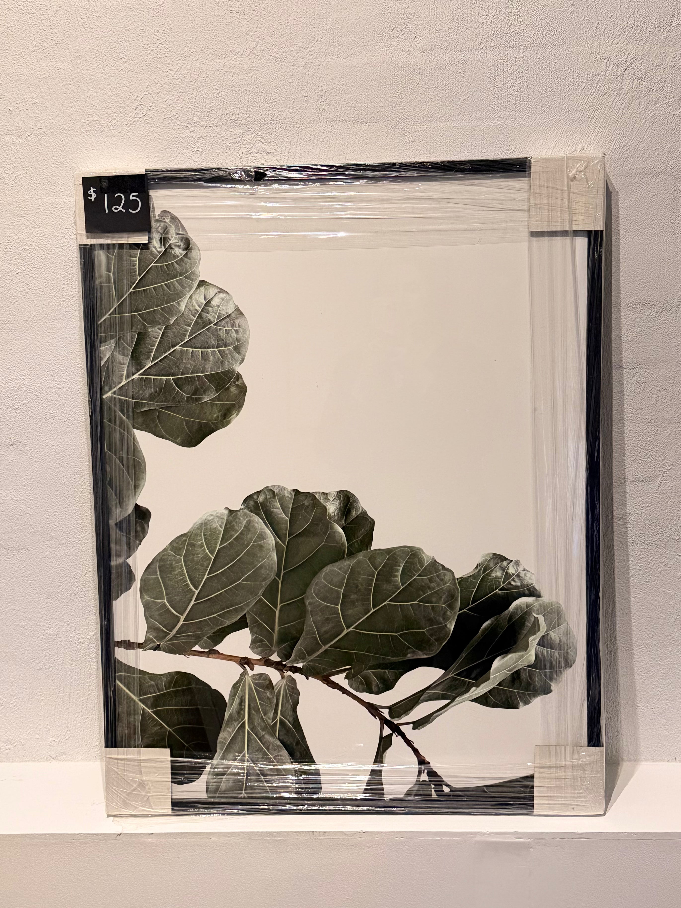Plant Print
