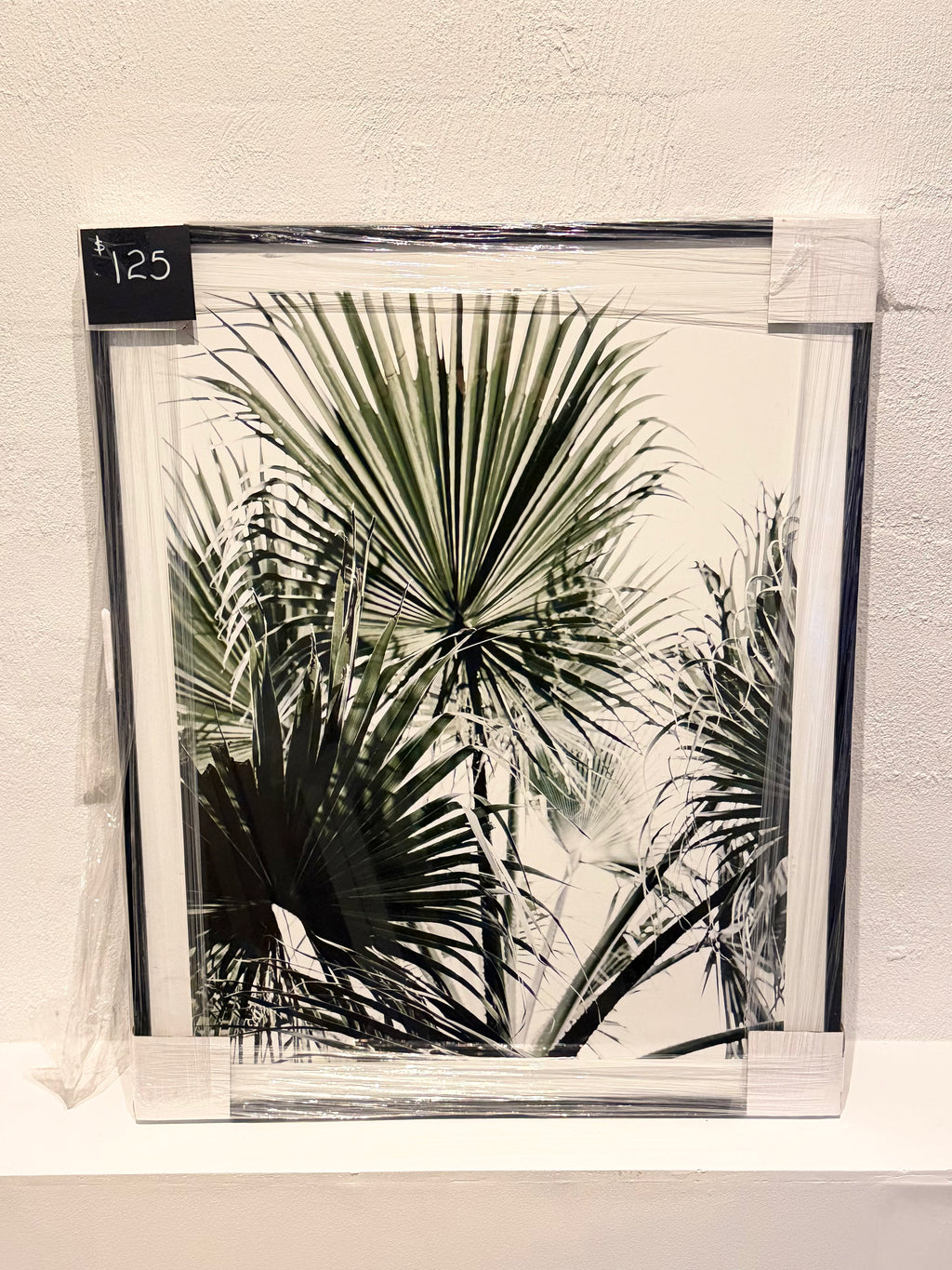 Palms Print