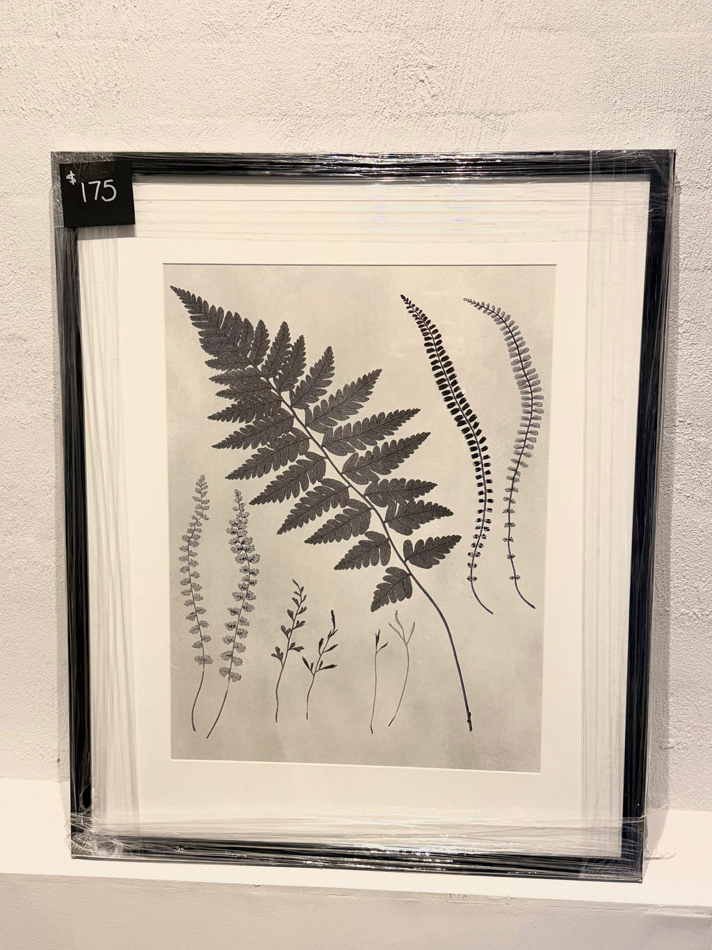 Leaves