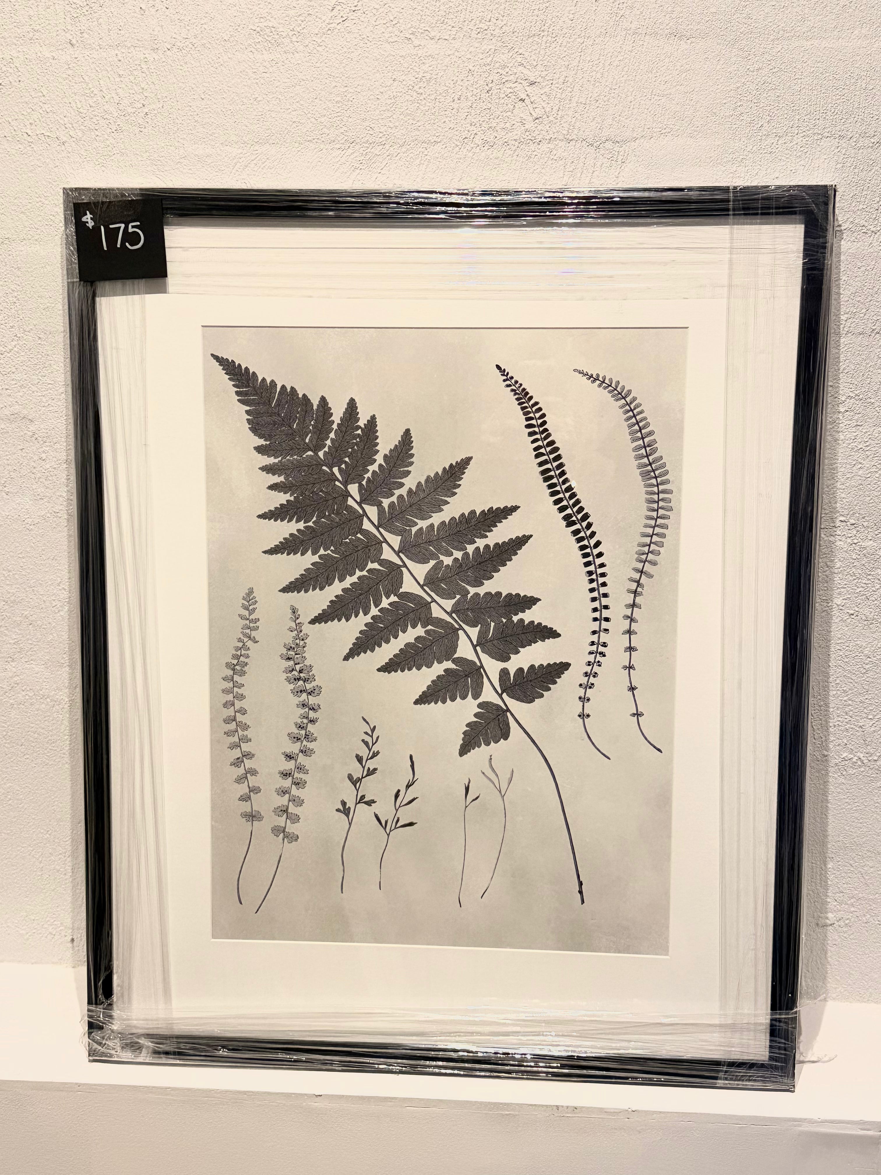 Leaves
