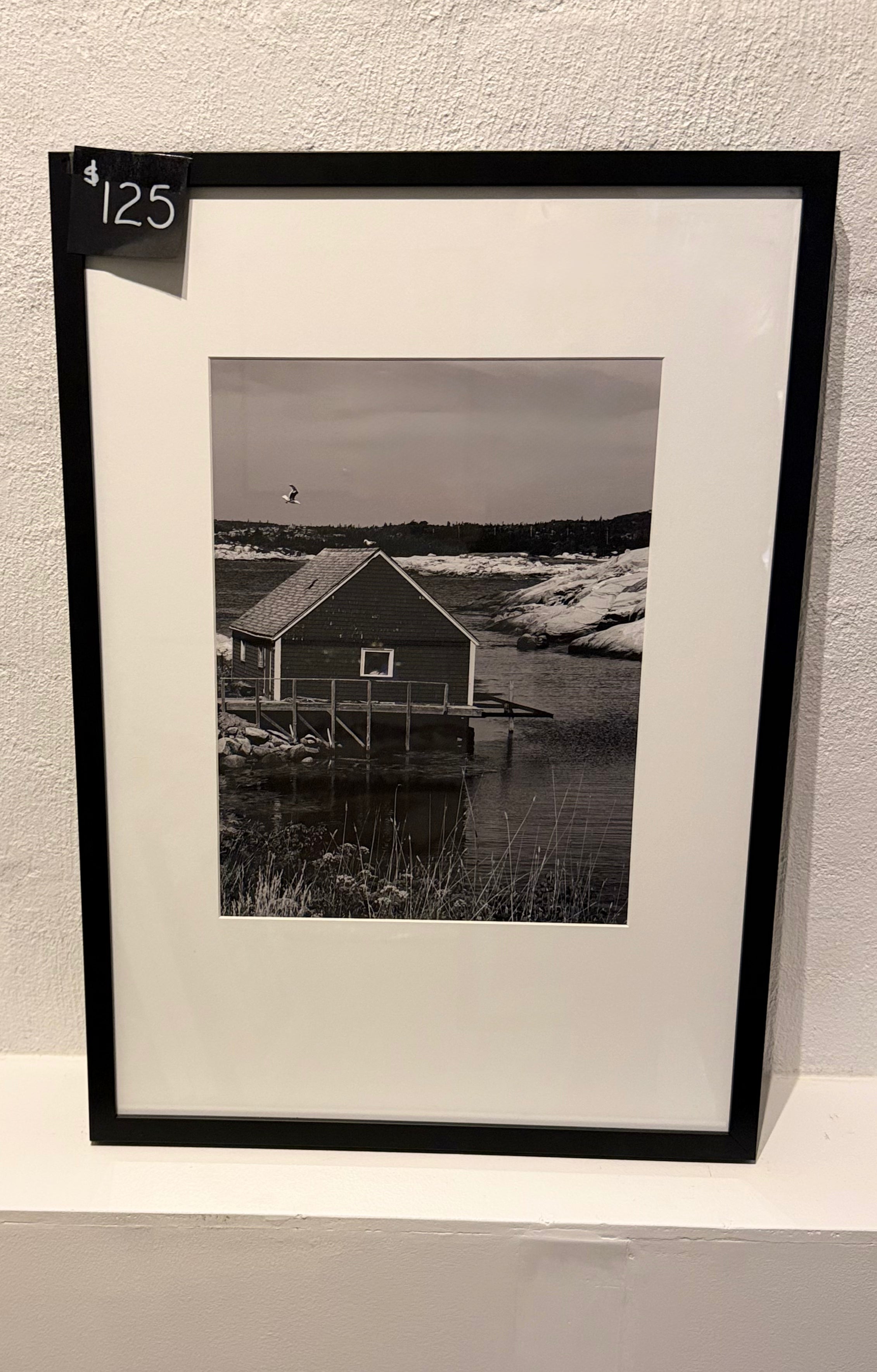 House on the lake B&W