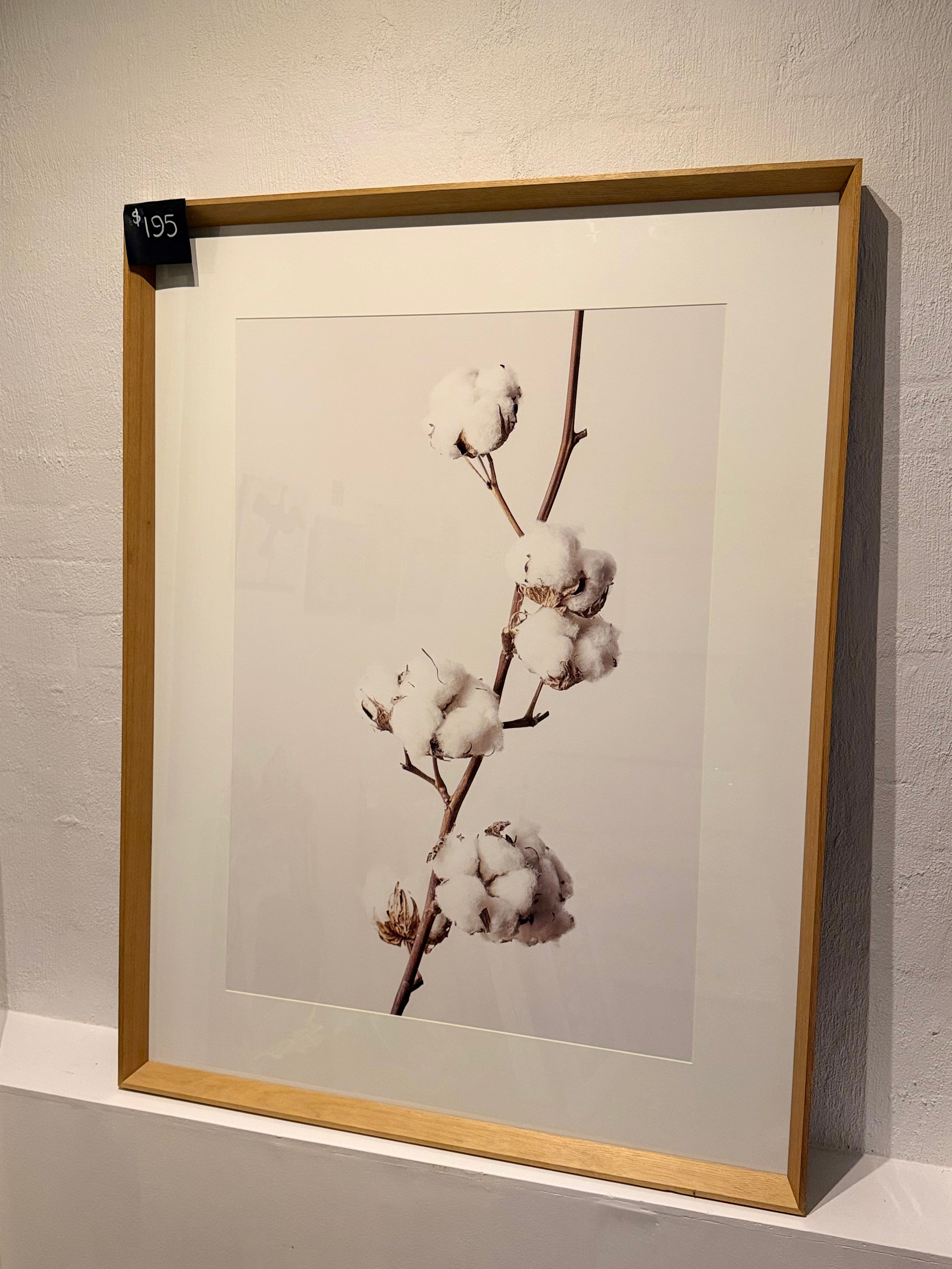 Cotton Print