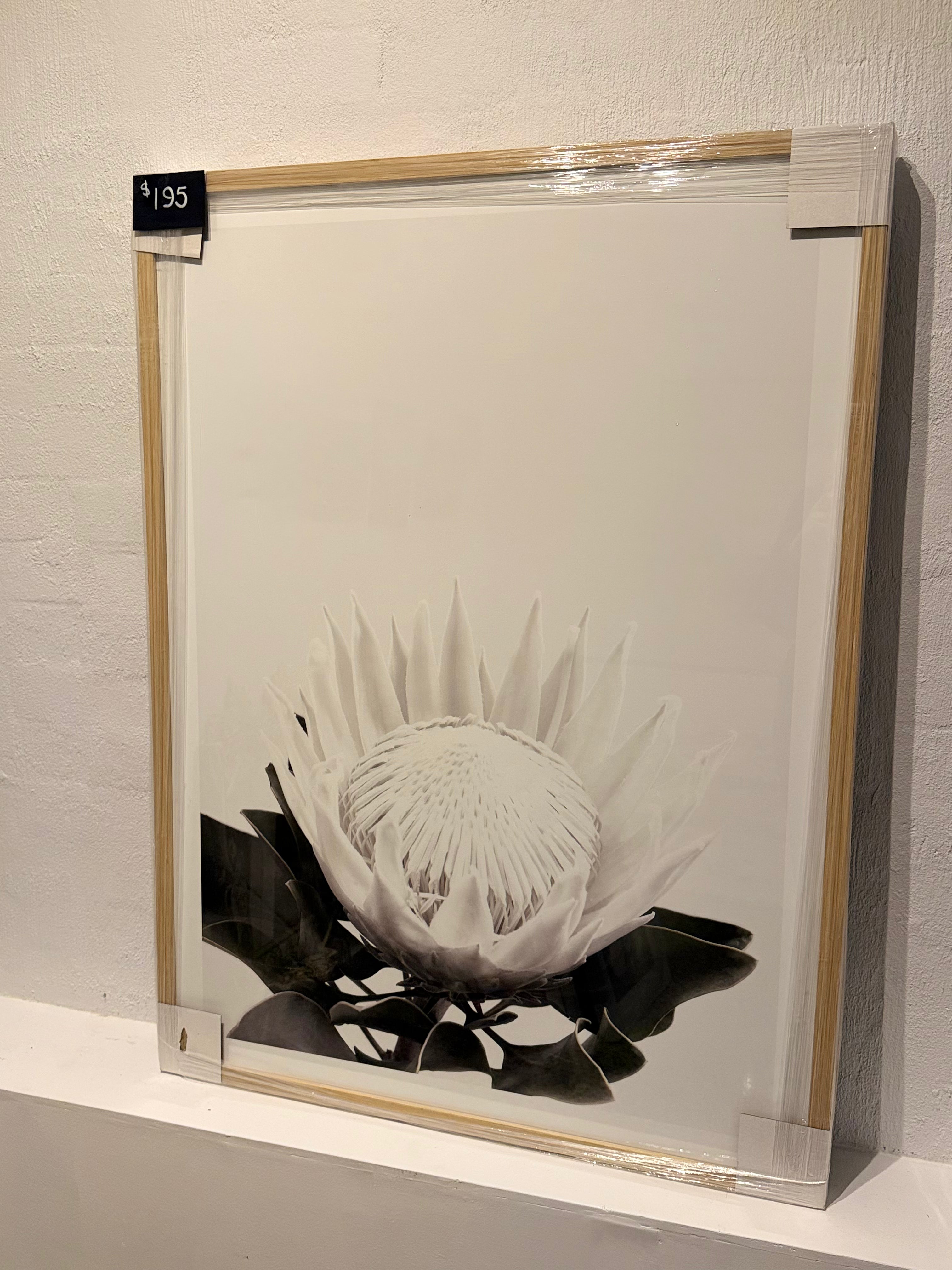 Large Flower