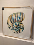 Shell - Large