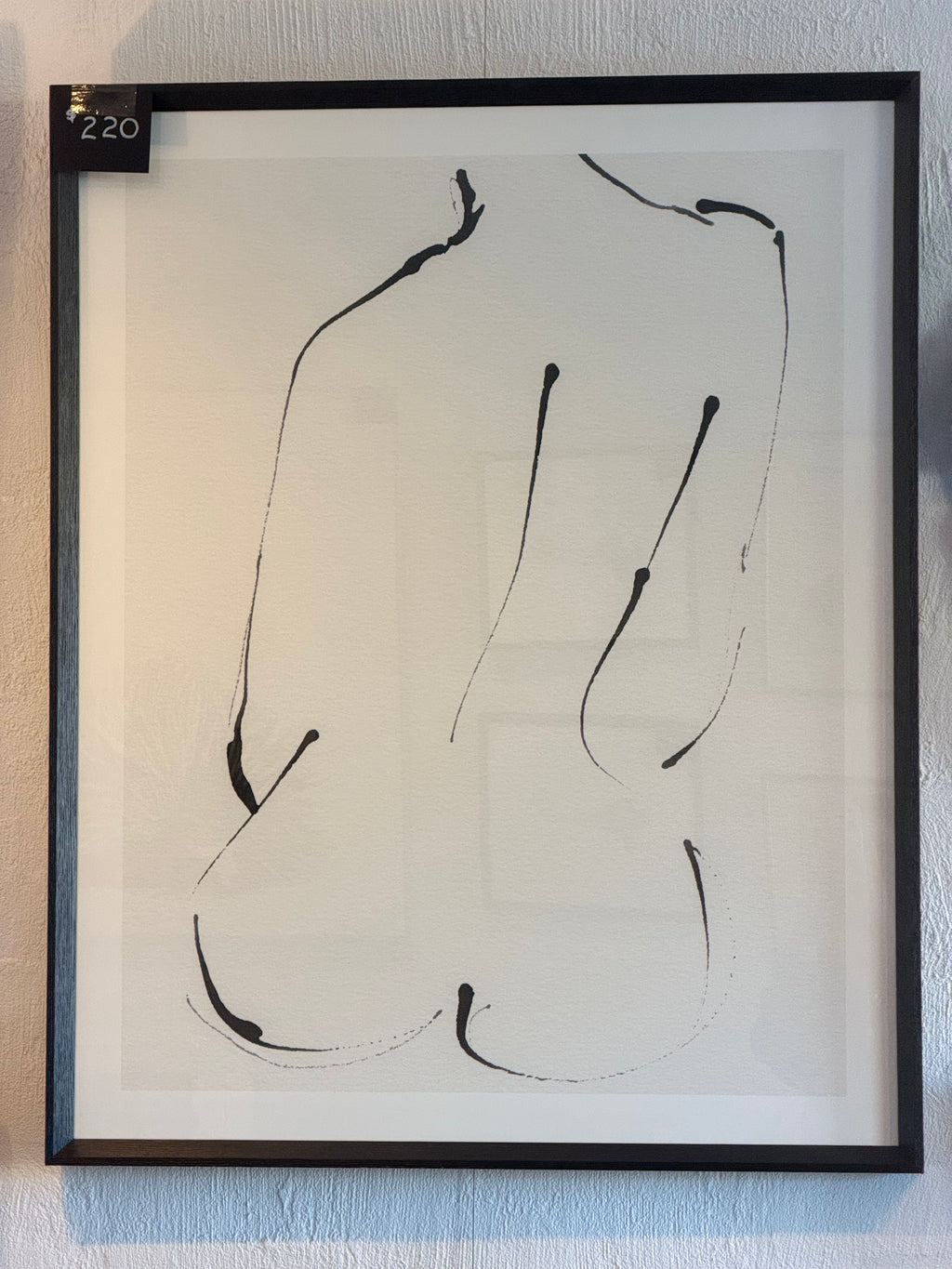 Body Outline